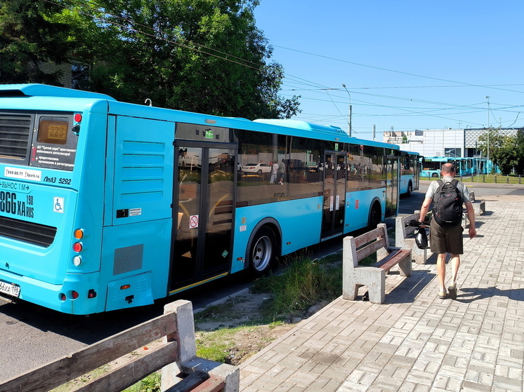 22 сентября отмечают Всемирный день без автомобиля и День защиты слонов