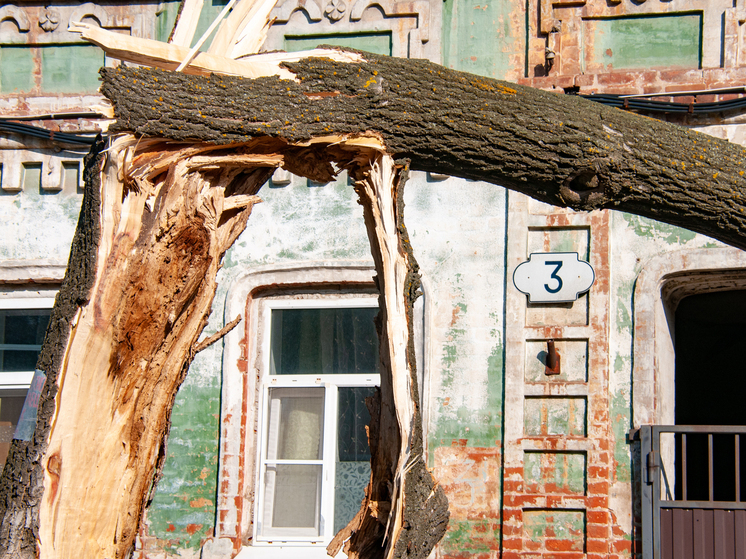 Россиянам объяснили, что 3 октября на Астафия Ветряка нельзя трясти воду с рук