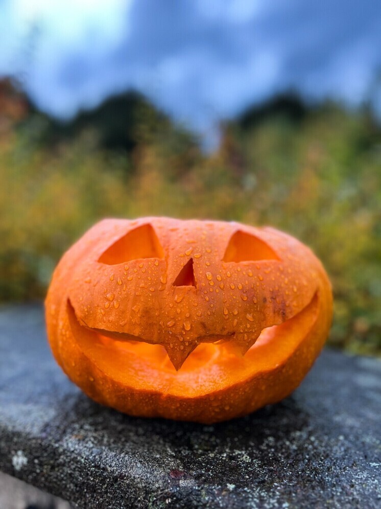 31 октября отмечают Хэллоуин, День лемура и День сурдопереводчика