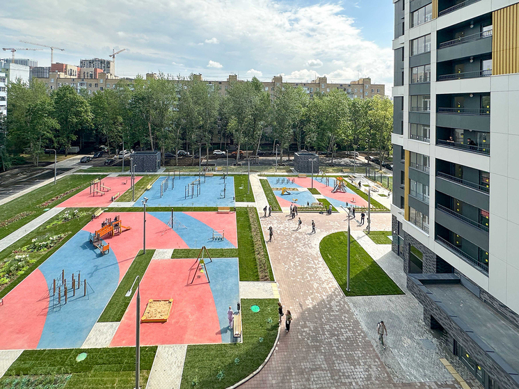 72% горожан хотят видеть вечнозеленые растения у дома