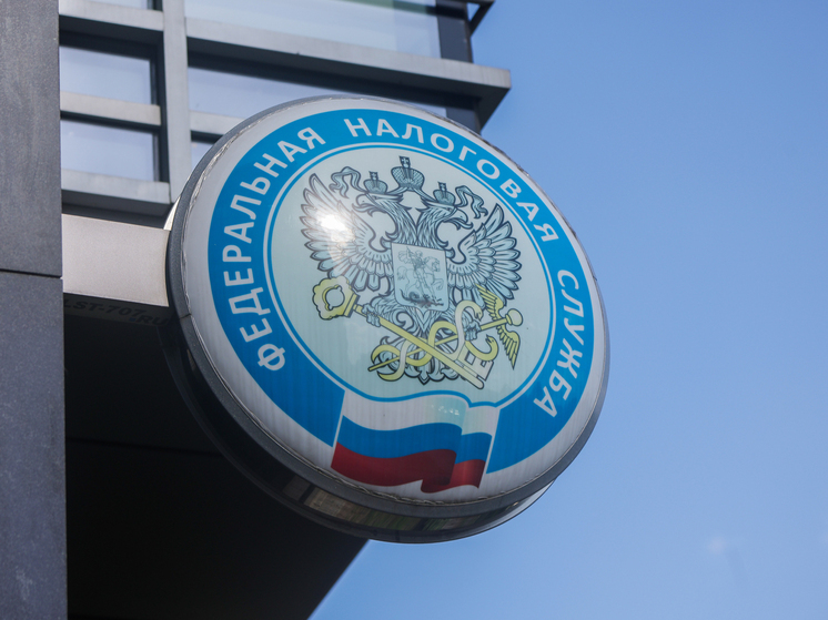 Долг блогера-миллионника Субо перед ФНС увеличился почти до 90 млн рублей