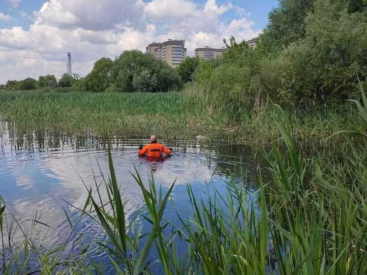 Четыре человека утонули за сутки в Подмосковье