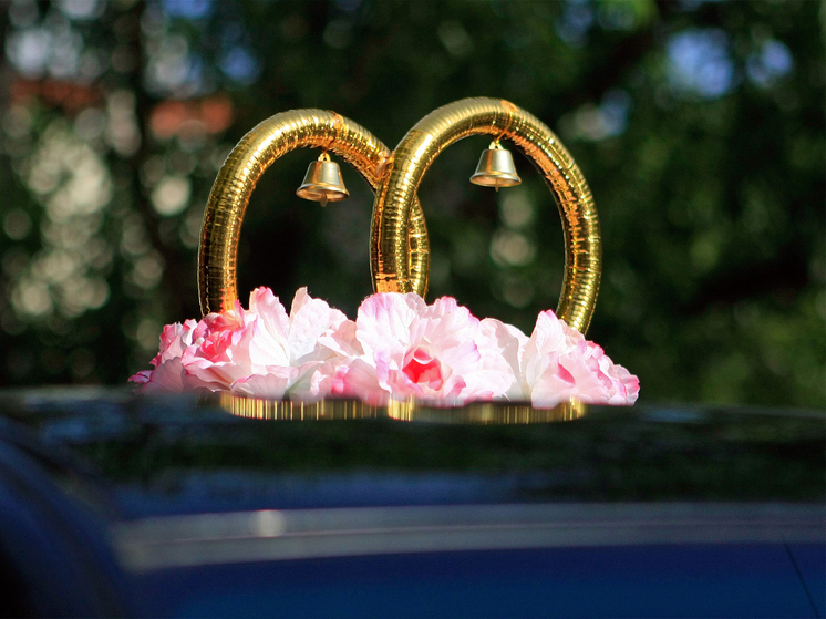 Некоторые женщины выходят замуж за бойцов СВО ради выплат и льгот