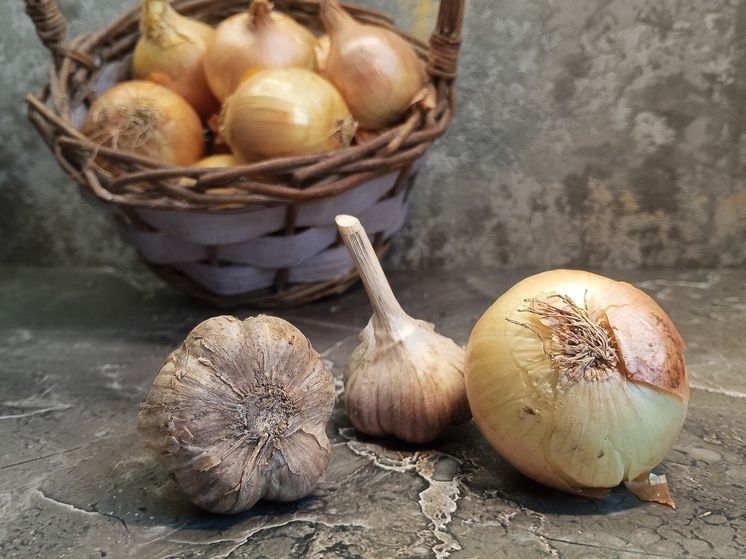 Россиянам рассказали, что можно приготовить из лука