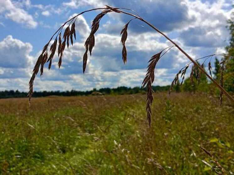 Россиянам рассказали, что нельзя делать 10 сентября