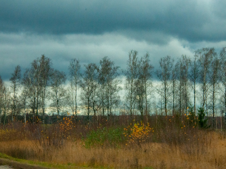 Россиянам объяснили, что 13 ноября в День Спиридона и Никодима нельзя выносить мусор после заката