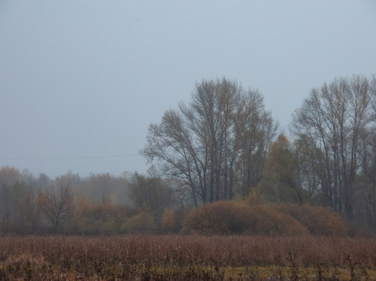 Россиянам объяснили, что 14 ноября на Кузьминки осенние нельзя стирать