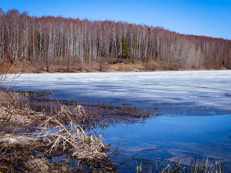 Россиянам объяснили, что 19 ноября в день Павла Ледостава нельзя стирать