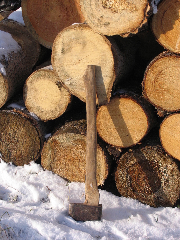 Россиянам объяснили, что 2 декабря в день Авдея Радетеля нельзя громко смеяться