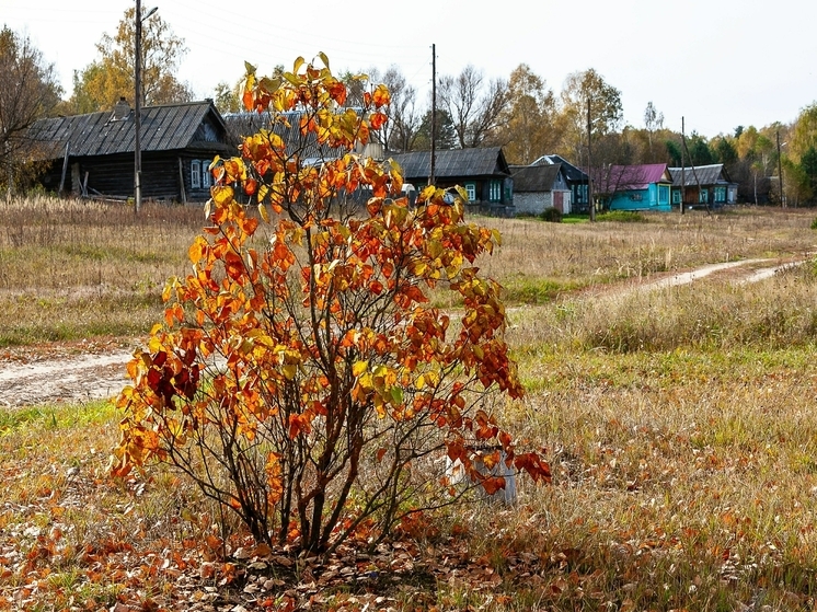 Россиянам объяснили, что 7 ноября на Дедовские плачи нельзя есть хлеб
