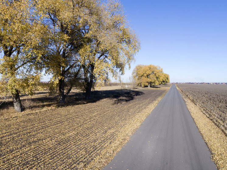 Россиянам объяснили, что 5 ноября в Яков день нельзя отказываться от мёда