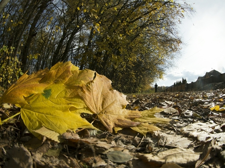 Россиянам объяснили, что 9 ноября в Обетный день запрещён тяжёлый физический труд