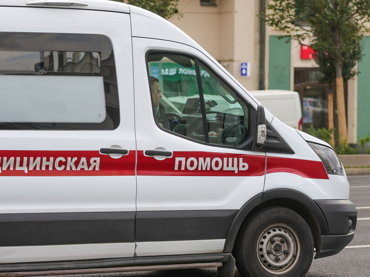 В России выявили первый завозной случай лихорадки чикунгунья — Роспотребнадзор