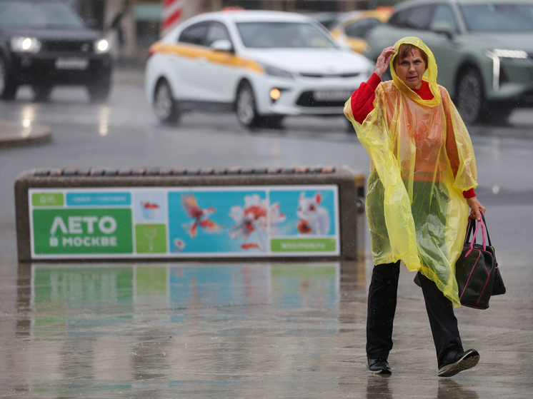 Тишковец: в Москве 21 июля зафиксировали суточный рекорд по осадкам
