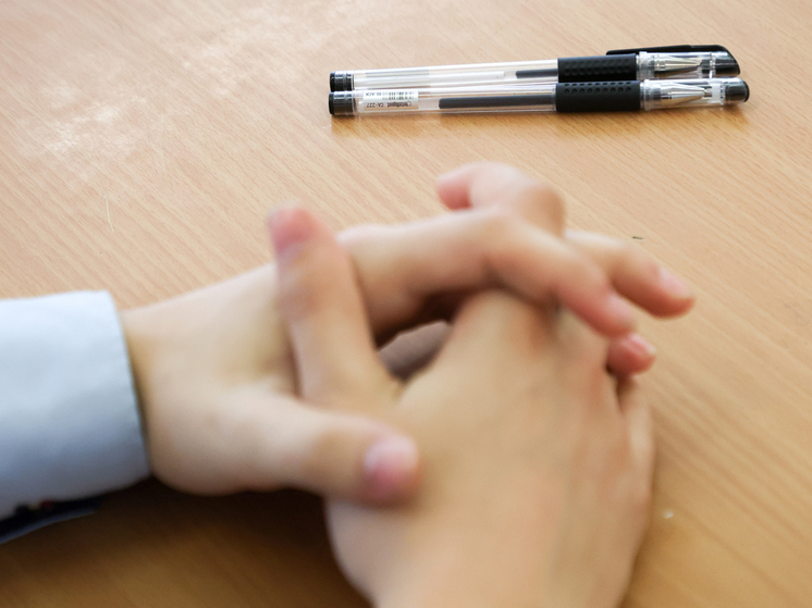 Пересдача ЕГЭ в 2025 году принесла сотни новых стобалльников