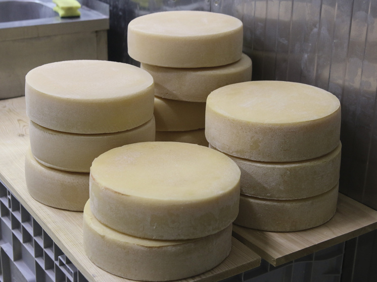 Международная вспышка листерии из-за мягкого сыра унесла жизни двух человек