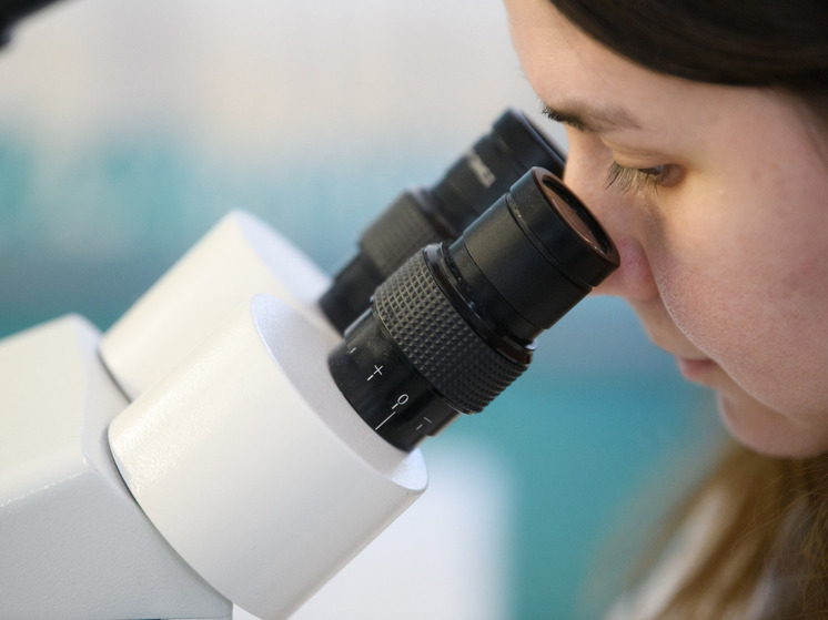 Специалисты госцентра вирусологии "Вектор" выявили 60 новых вирусов в РФ