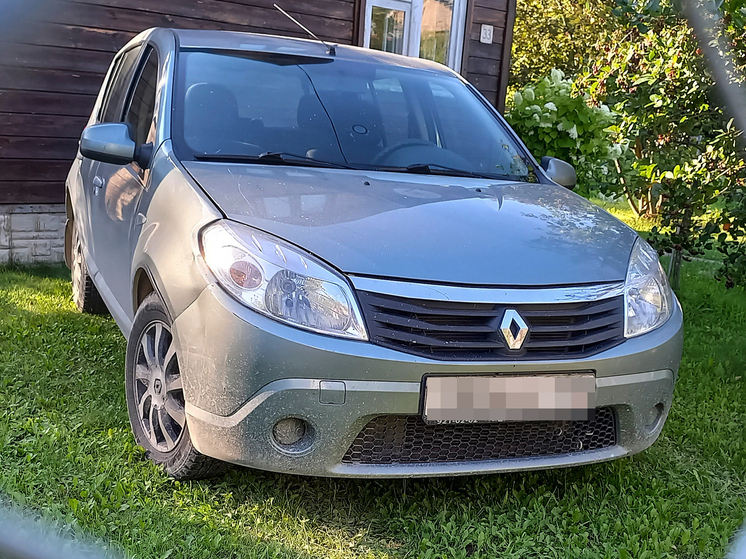 В Росреестре предложили упростить регистрацию общих земель и объектов в дачных товариществах