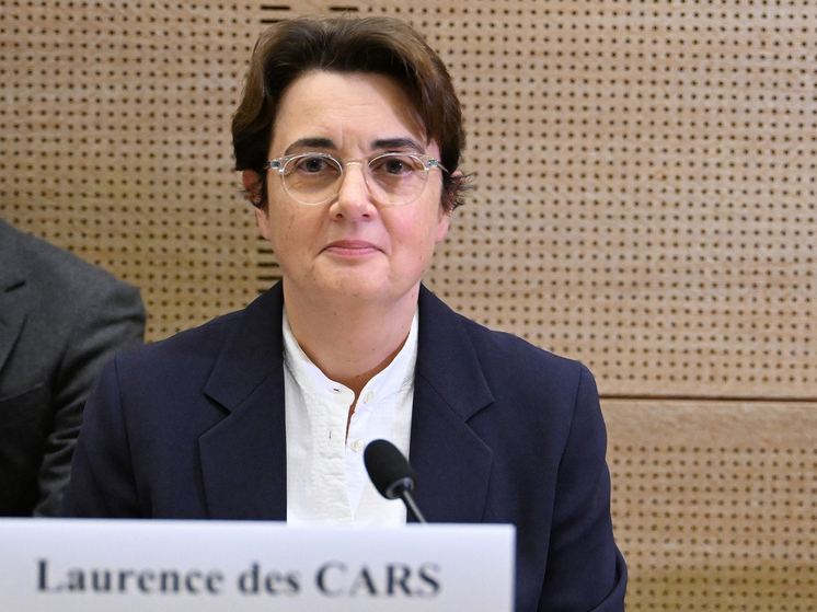 Сенаторы раскритиковали облажавшуюся главу обнесенного ворами Лувра