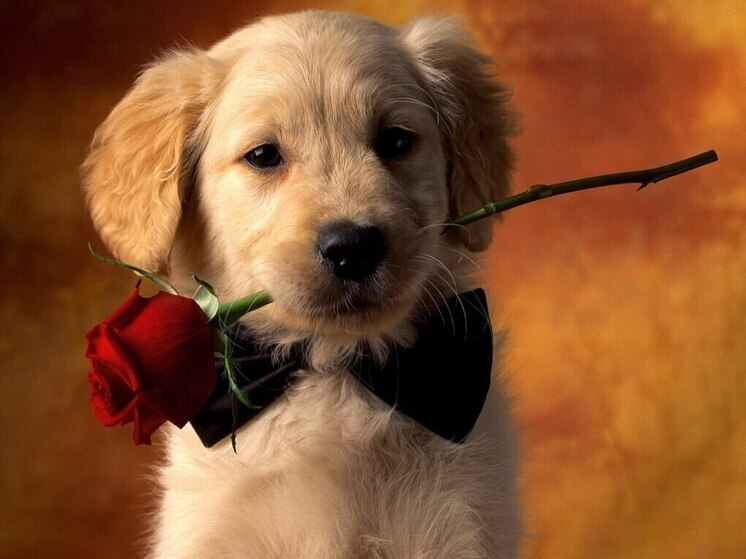 Дни рождения 13 августа