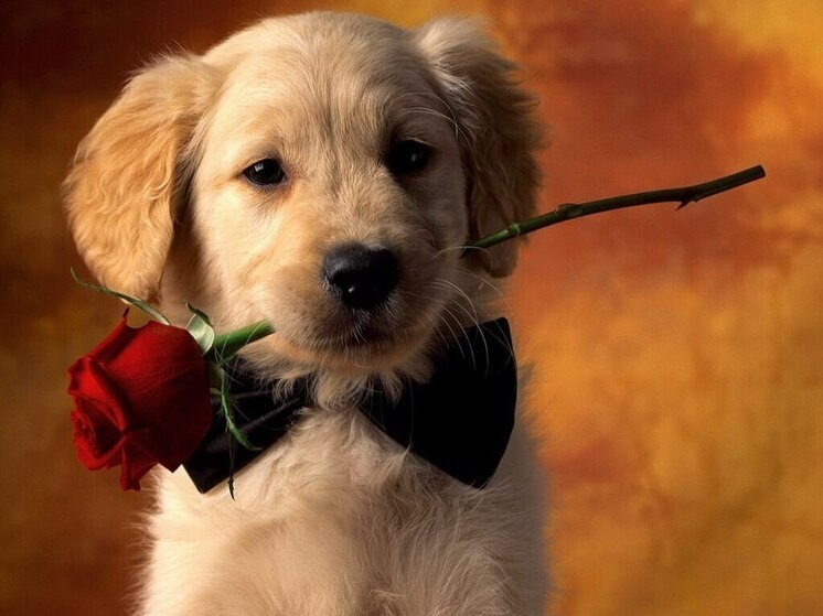 Дни рождения 19 августа