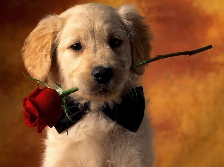 Дни рождения 30 октября