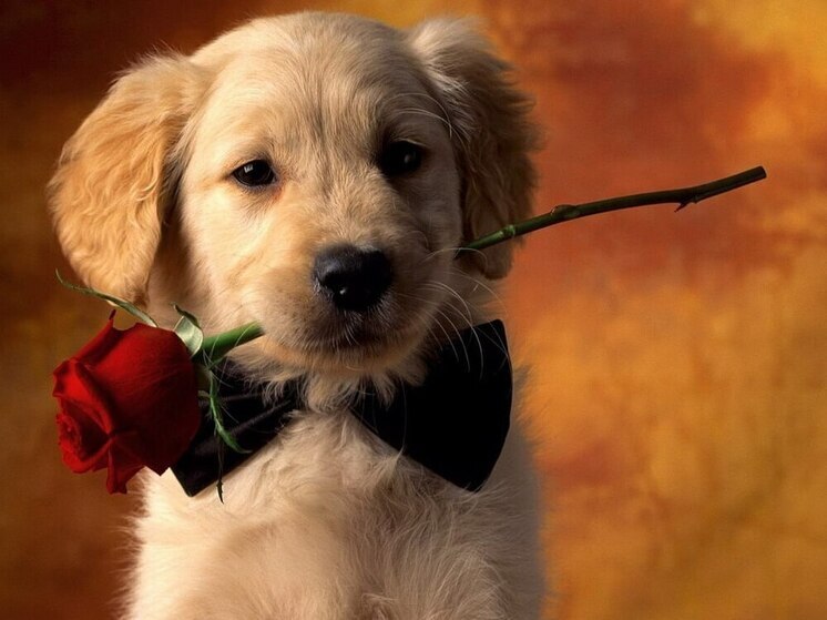 Дни рождения 5, 6 и 7 декабря