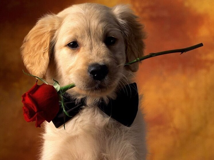 Дни рождения 5, 6 и 7 сентября