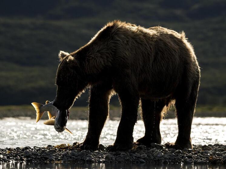 15 августа президенты России и США проведут переговоры на Аляске