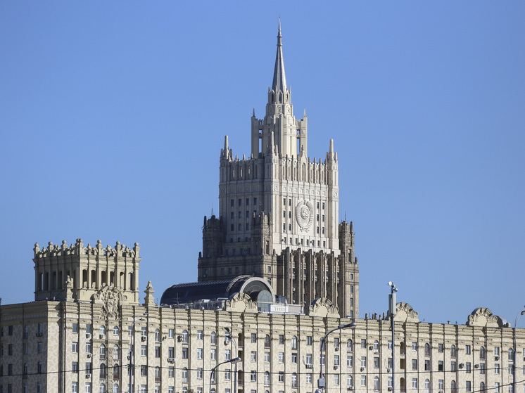 МИД РФ разработал новые правила выдачи справок о гражданстве детей до 14 лет