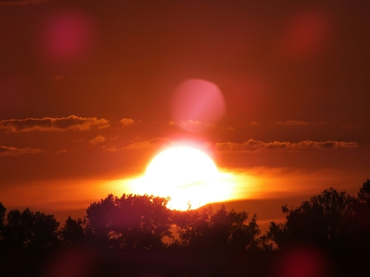 22 августа Луна в созвездии Льва усилит стремление к лидерству