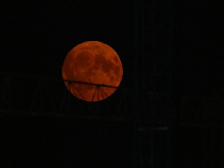 Россиянам рассказали, каким будет 26 октября для разных знаков зодиака