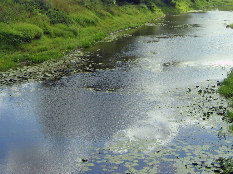 Стало известно, чем грозит купание в открытых водоемах в августе