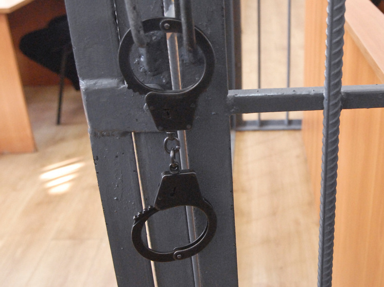 Многодетная мать Батоцыренова призналась в ложном доносе на супруга за педофилию