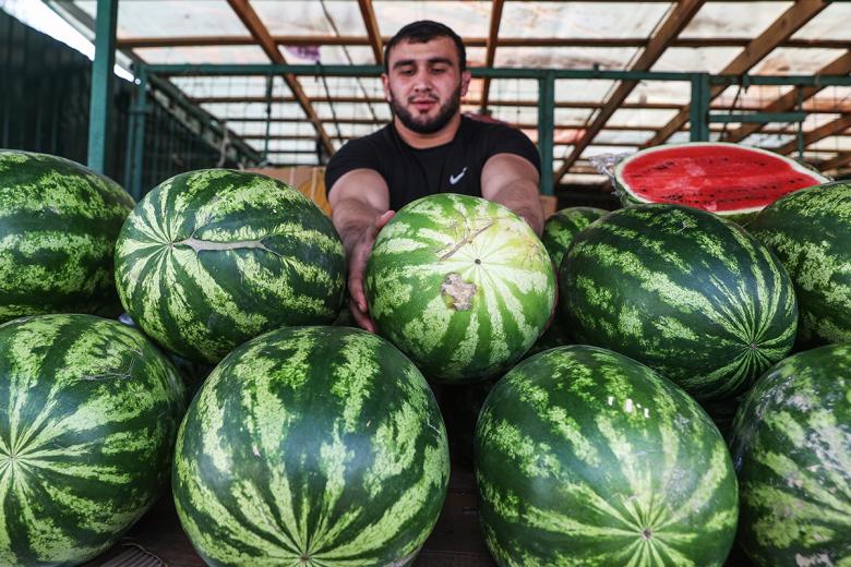 Как выбрать арбузы