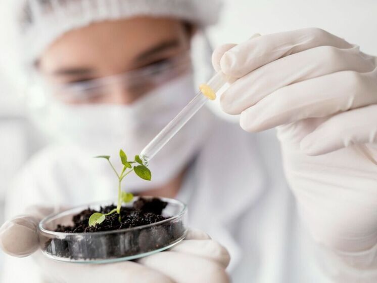 Около 25 тысяч школьников приняли участие в олимпиаде