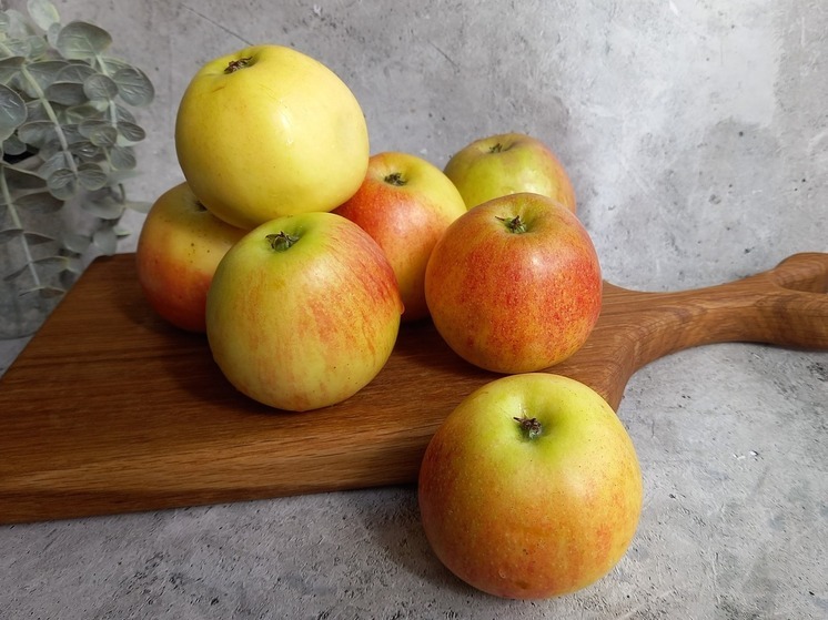 Россиянам рассказали, чем заняться на даче 10 сентября