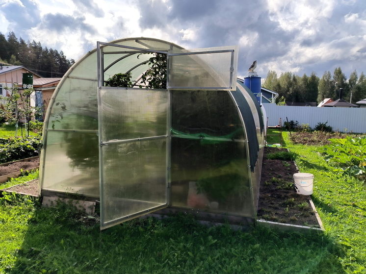 Россиянам рассказали, что делать на даче 16 сентября