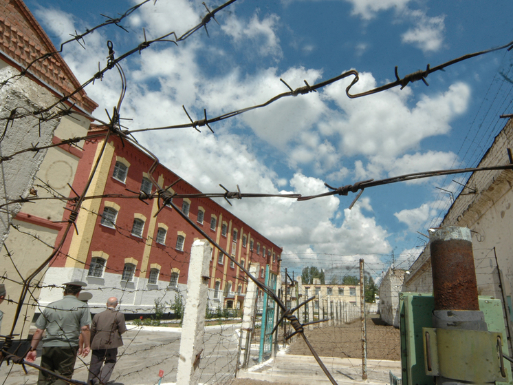 «Черный дельфин» увеличил продажи товаров собственного производства до 11,4 млн рублей