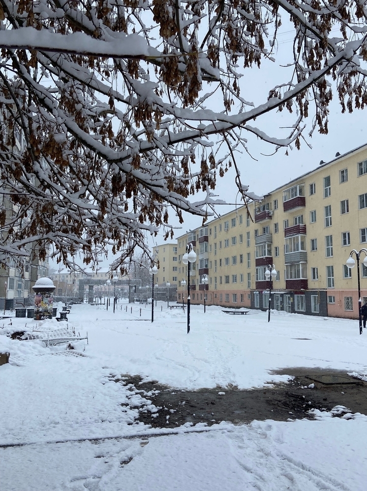 МЧС предупредило о мокром снеге и гололедице в Москве и Подмосковье