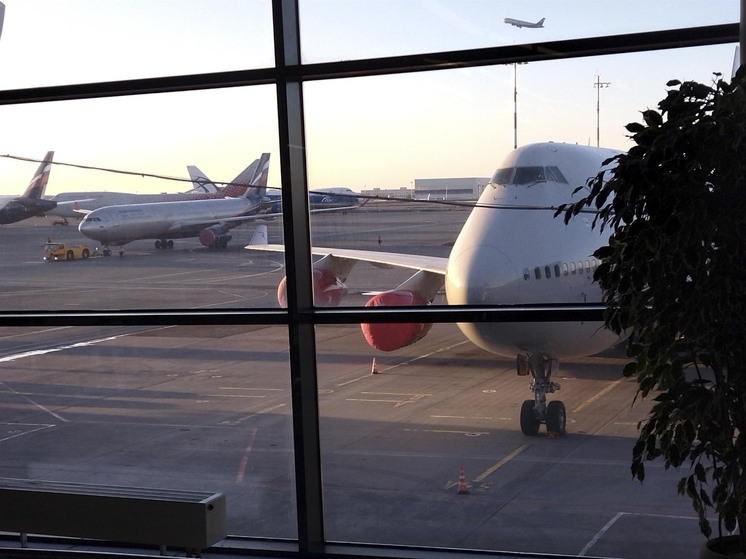 МВД предупредило об участившихся кражах при покупке авиабилетов