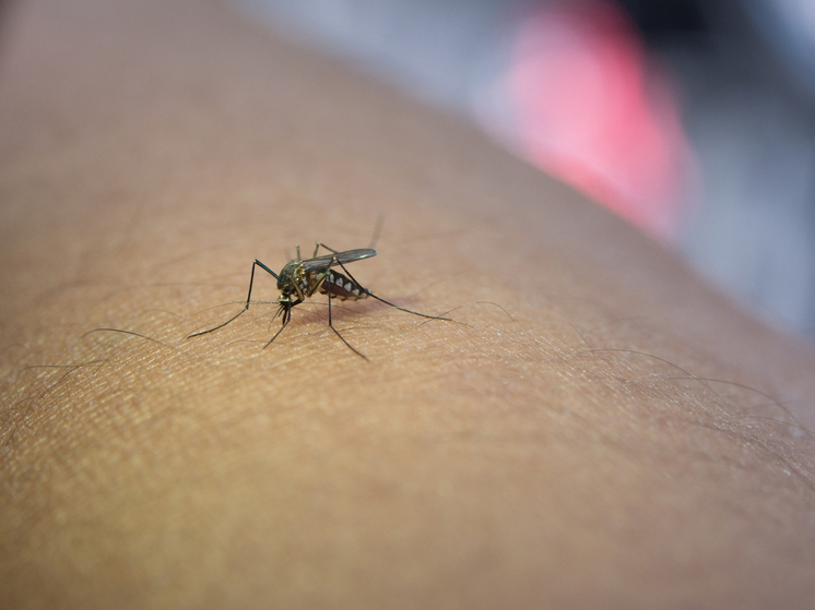 Турист перенес болезнь в легкой форме