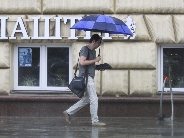 Тишковец: в Москве в субботу продолжатся ливневые дожди, а температура воздуха понизится