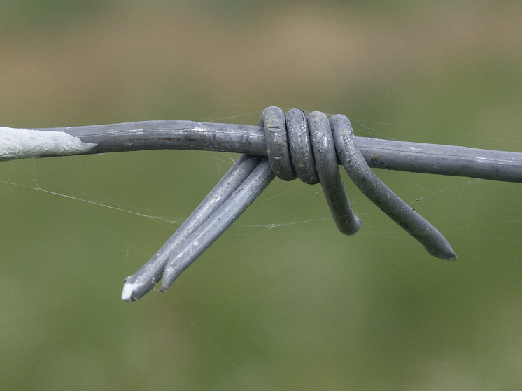 Жителя Брянской области осудили за передачу сведений о бойце СВО Украине