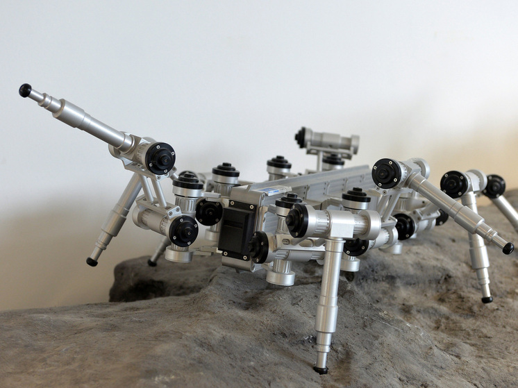 Машинный разум учится работать в хаосе и заставляет людей глупеть