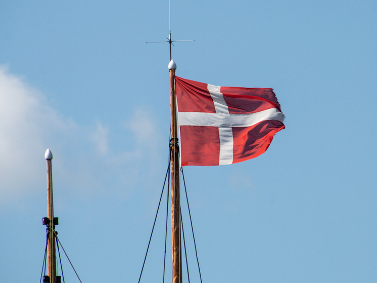 Датская наемница получила заочно 26 лет колонии в России