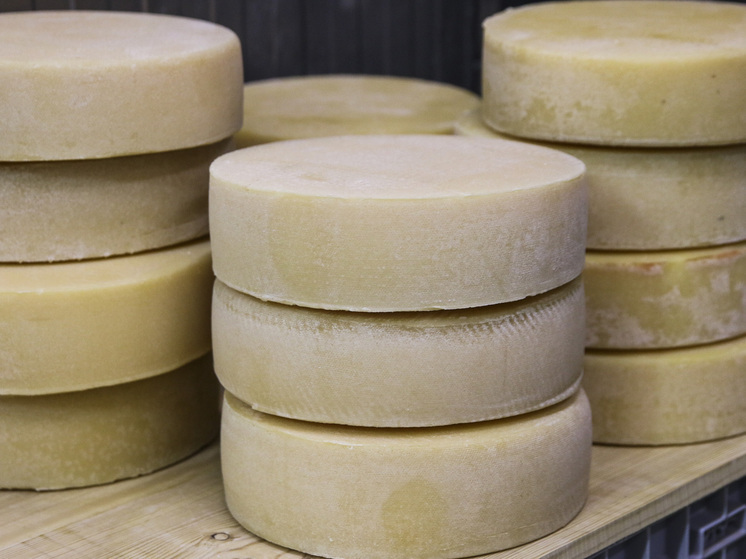 У людей, которые едят сыр хотя бы раз в неделю, ниже риск развития деменции