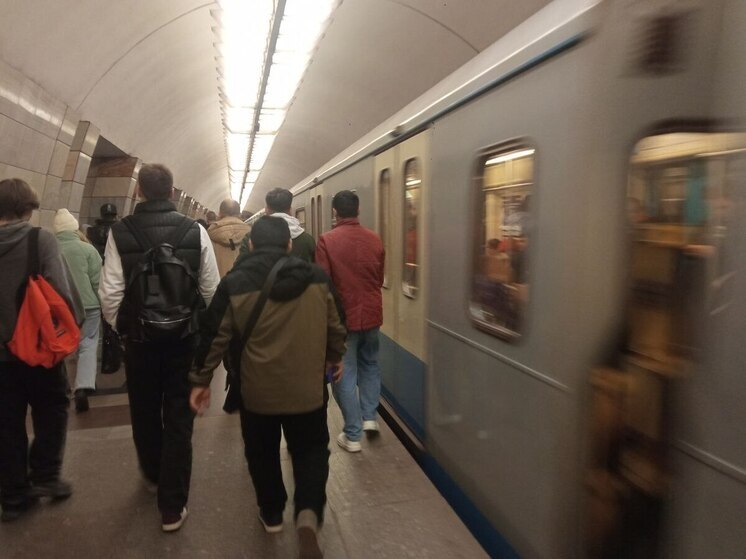 В Госдуме заявили, что мигранты из-за презрения насилуют российских женщин