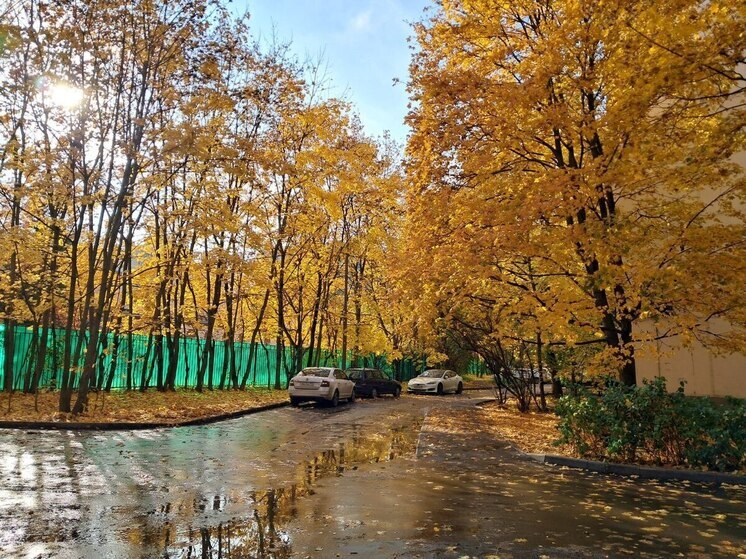 Терапевт Кудряшова, рассказала о главных недугах, связанных с осенней сыростью