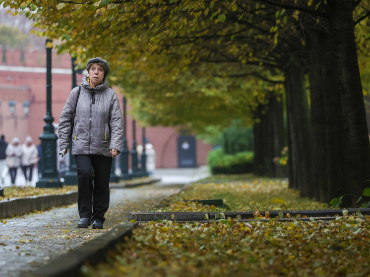 Никогда не работавшие россияне выйдут на пенсию на пять лет позже и получат меньше